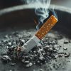 Is the tobacco endgame really possible?